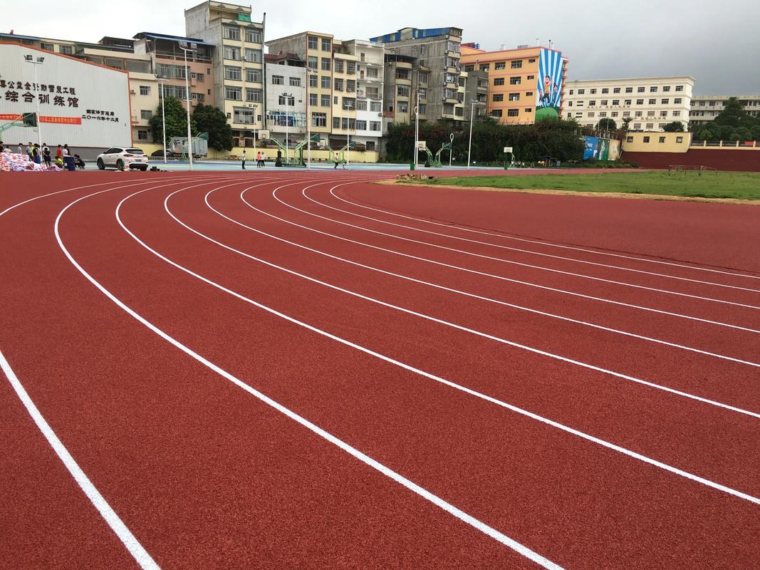 陇南市塑胶跑道塑胶跑道材料 - 厂家